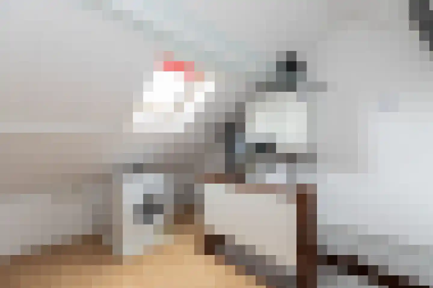 Lindenlaan 14 Oud-Alblas thumbnail 19
