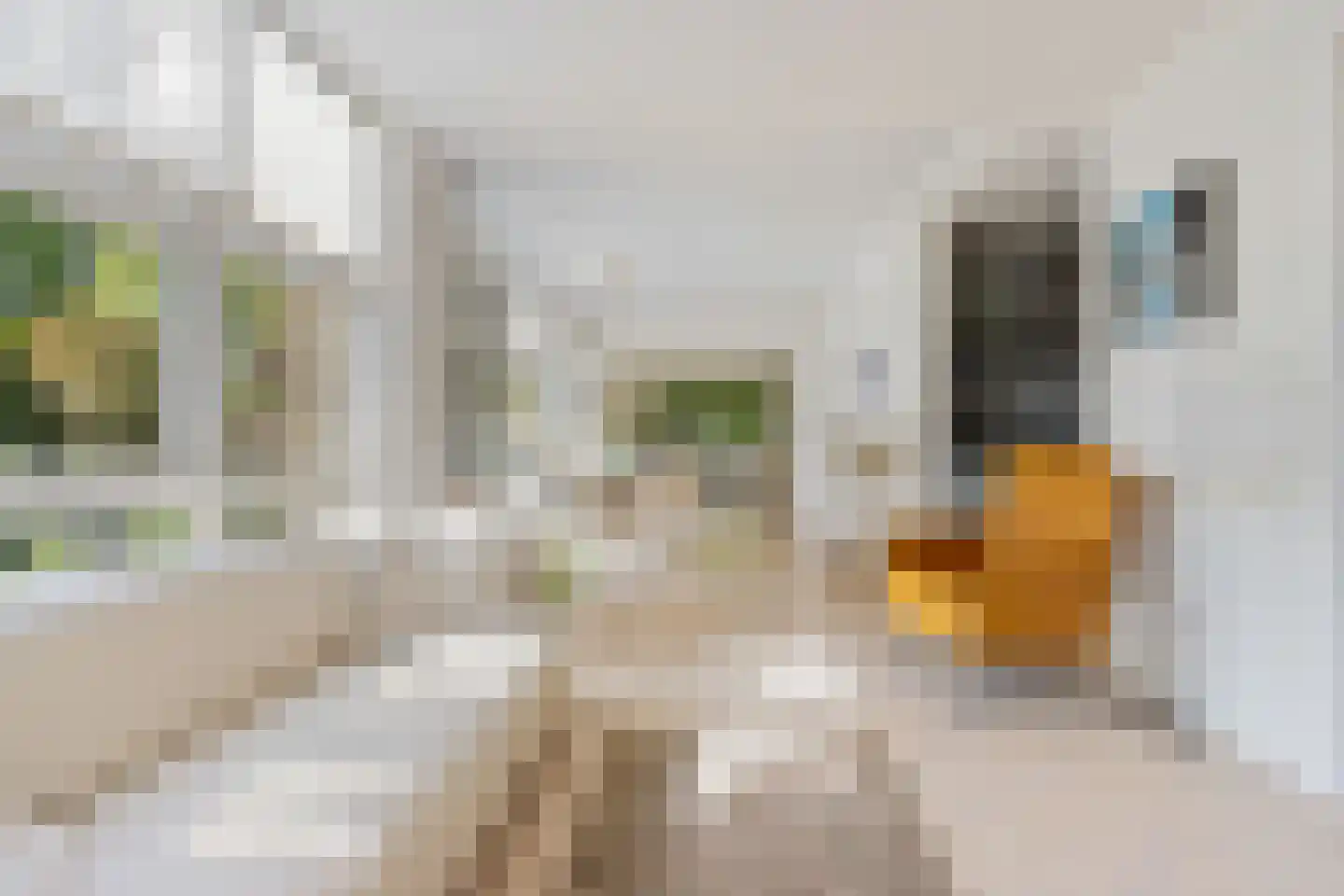 Lindenlaan 14 Sneek thumbnail 11