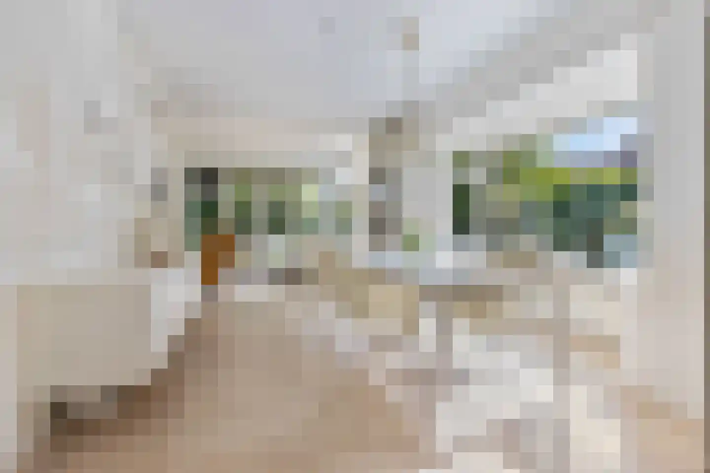 Lindenlaan 14 Sneek thumbnail 14