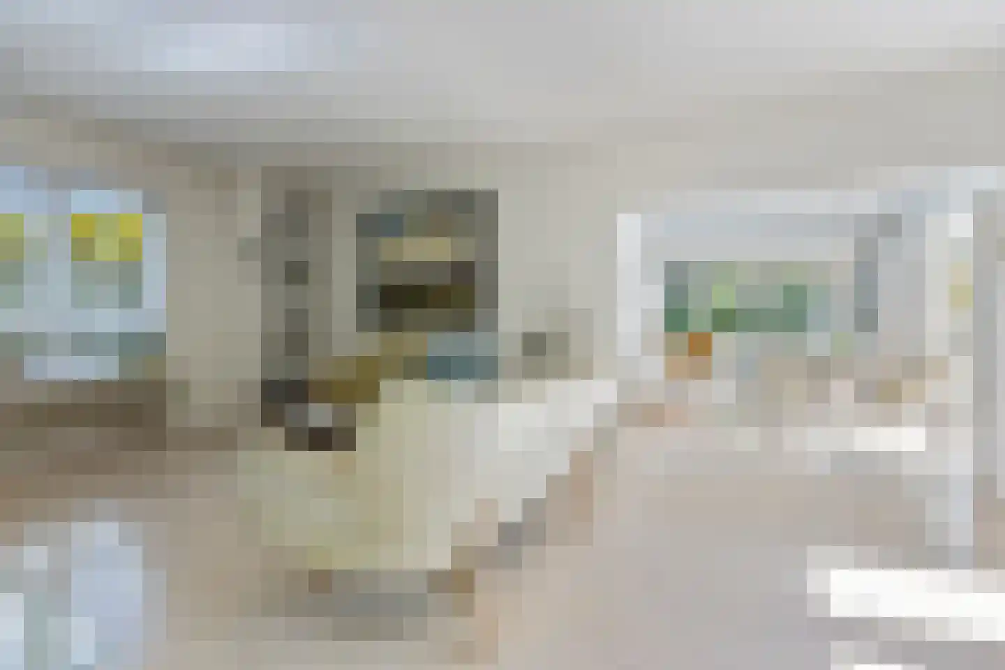 Lindenlaan 14 Sneek thumbnail 15