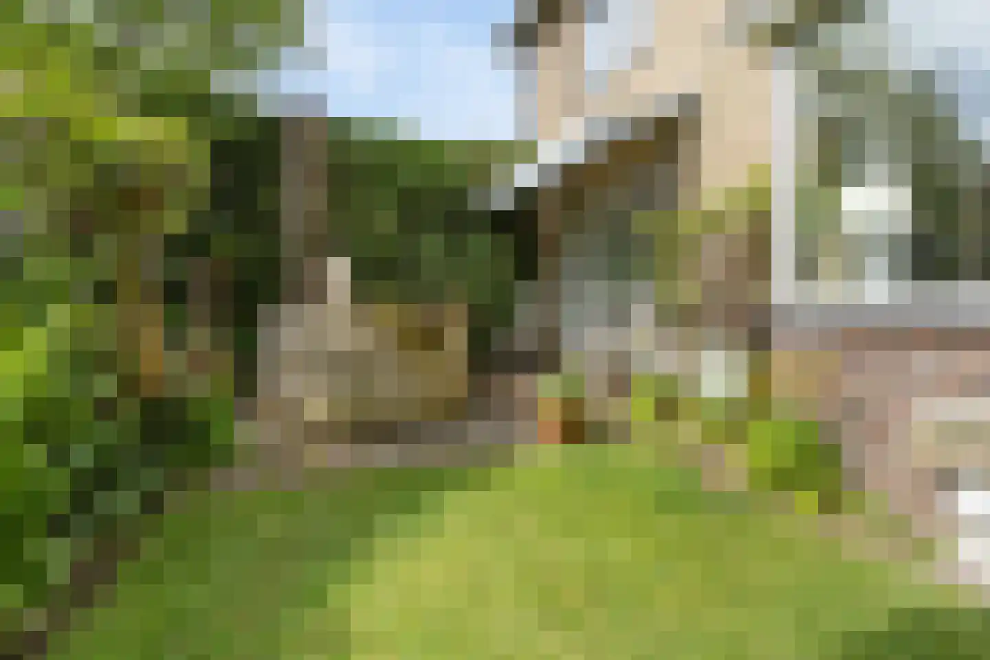 Lindenlaan 14 Sneek thumbnail 18