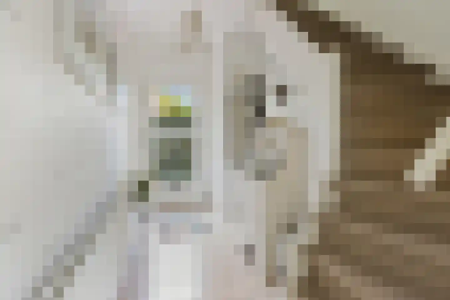 Lindenlaan 14 Sneek thumbnail 19