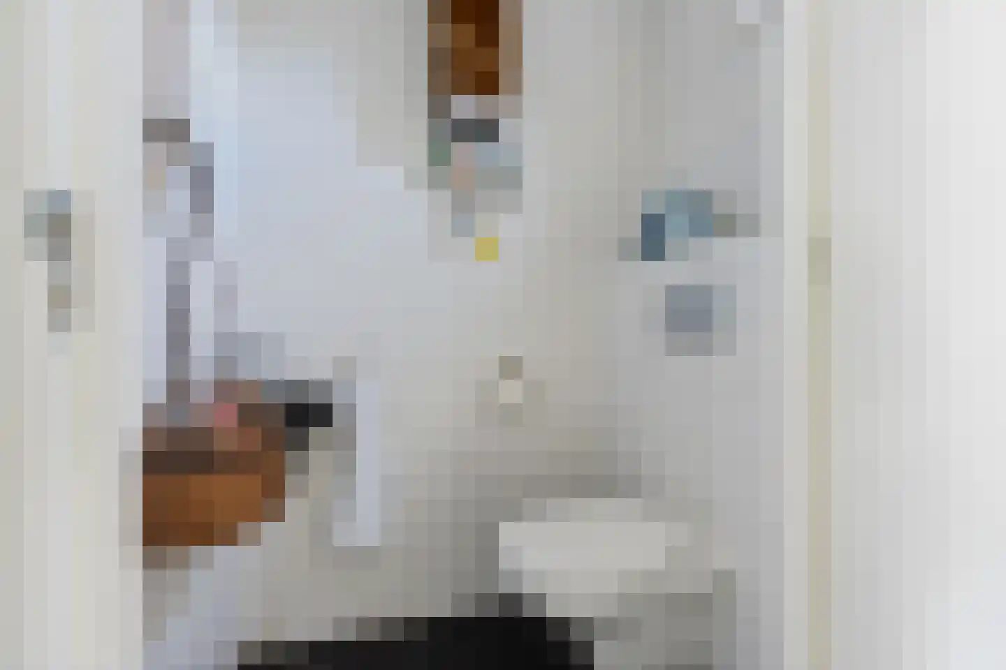 Lindenlaan 14 Sneek thumbnail 20