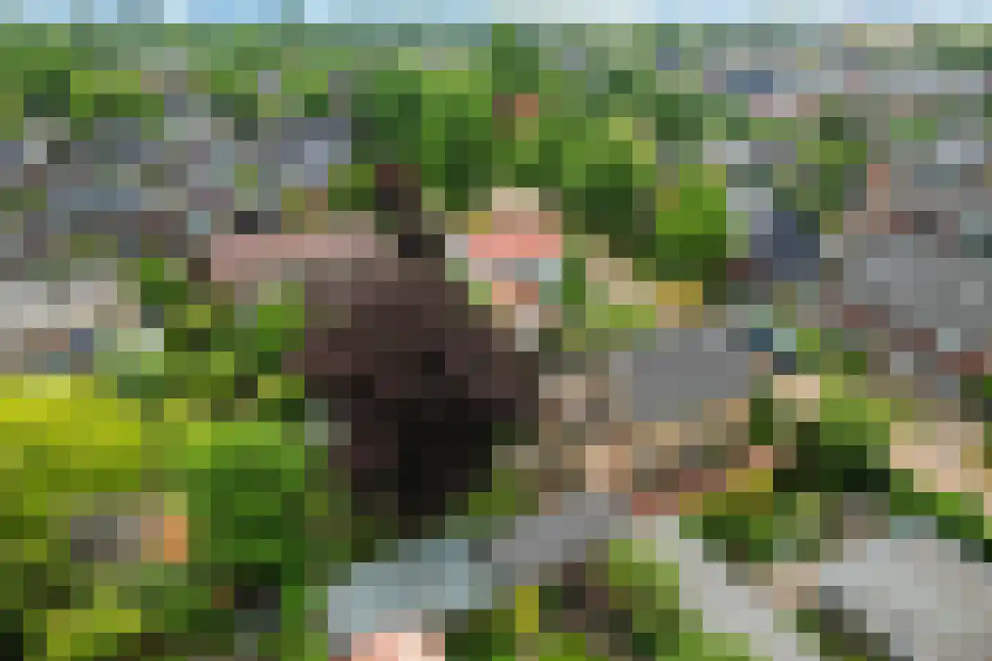 Lindenlaan 14 Sneek thumbnail 26