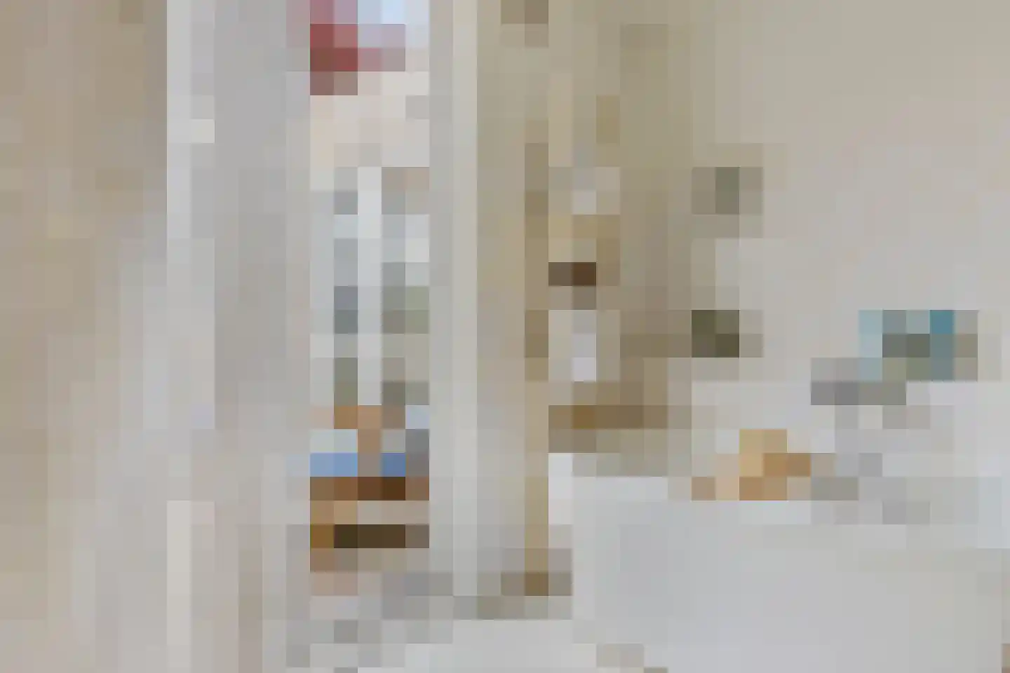 Lindenlaan 14 Sneek thumbnail 27