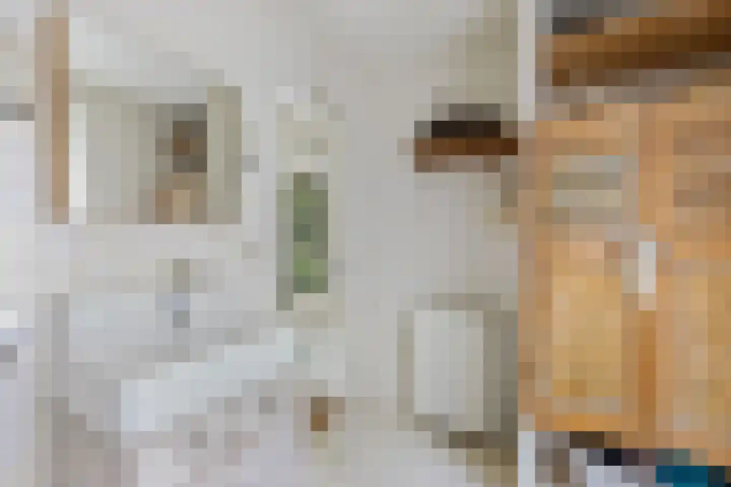 Lindenlaan 14 Sneek thumbnail 29