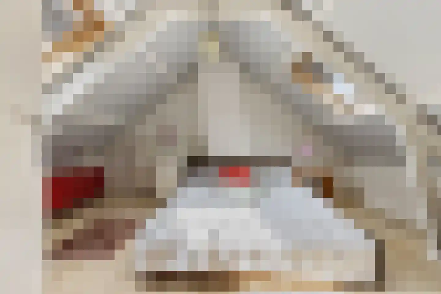 Lindenlaan 14 Sneek thumbnail 35