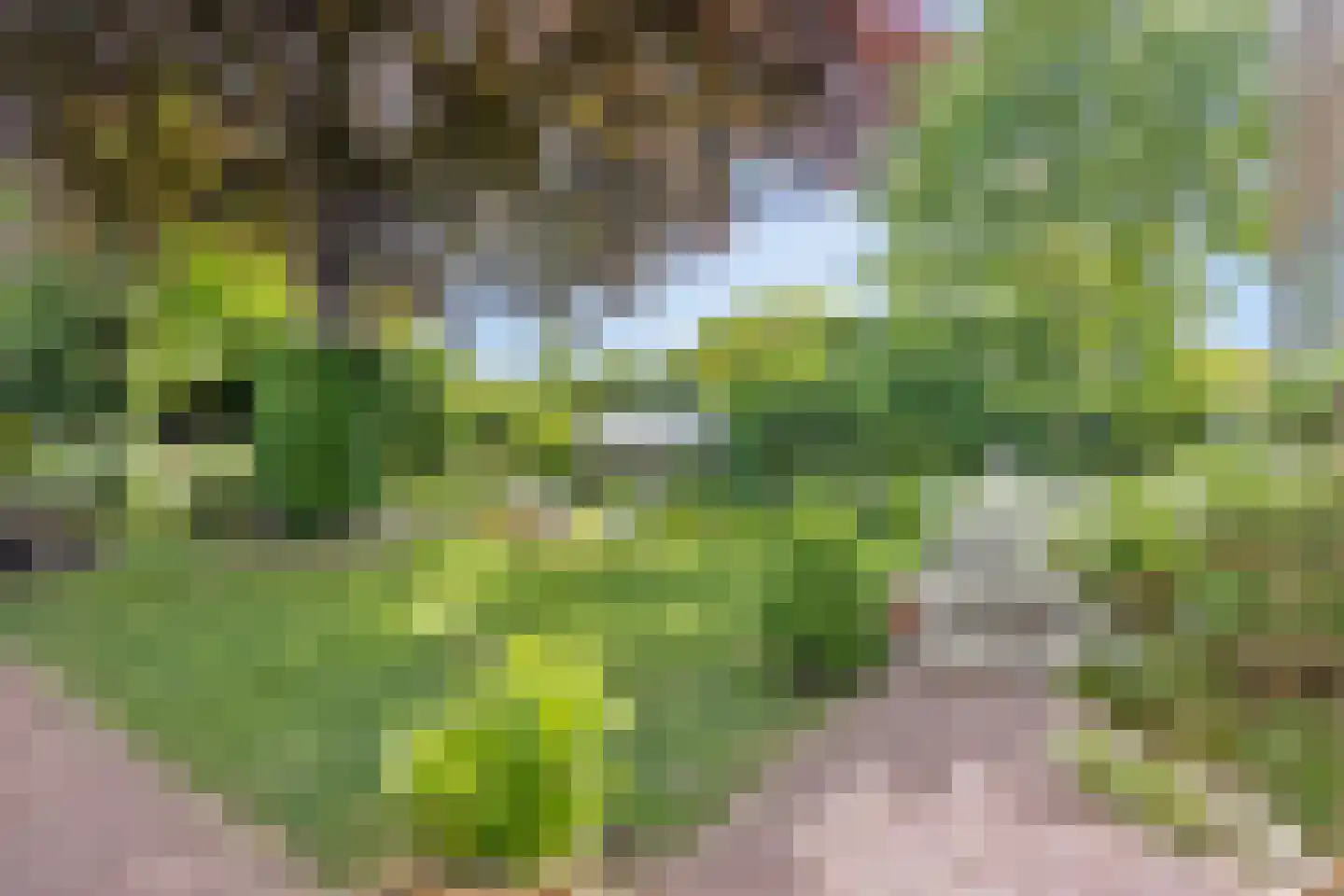 Lindenlaan 14 Sneek thumbnail 39
