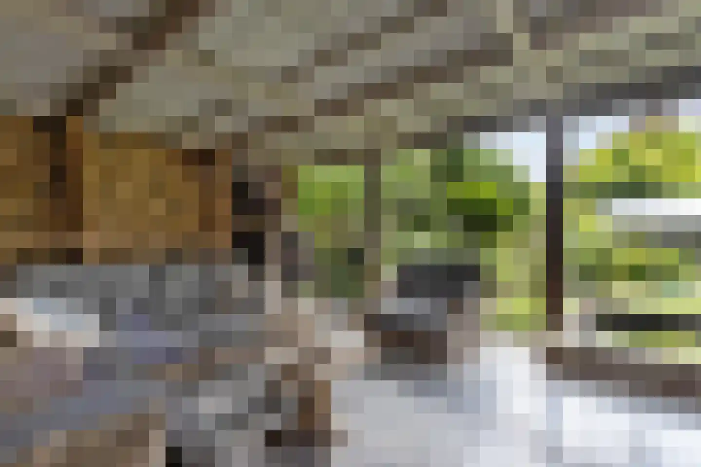 Lindenlaan 14 Sneek thumbnail 42