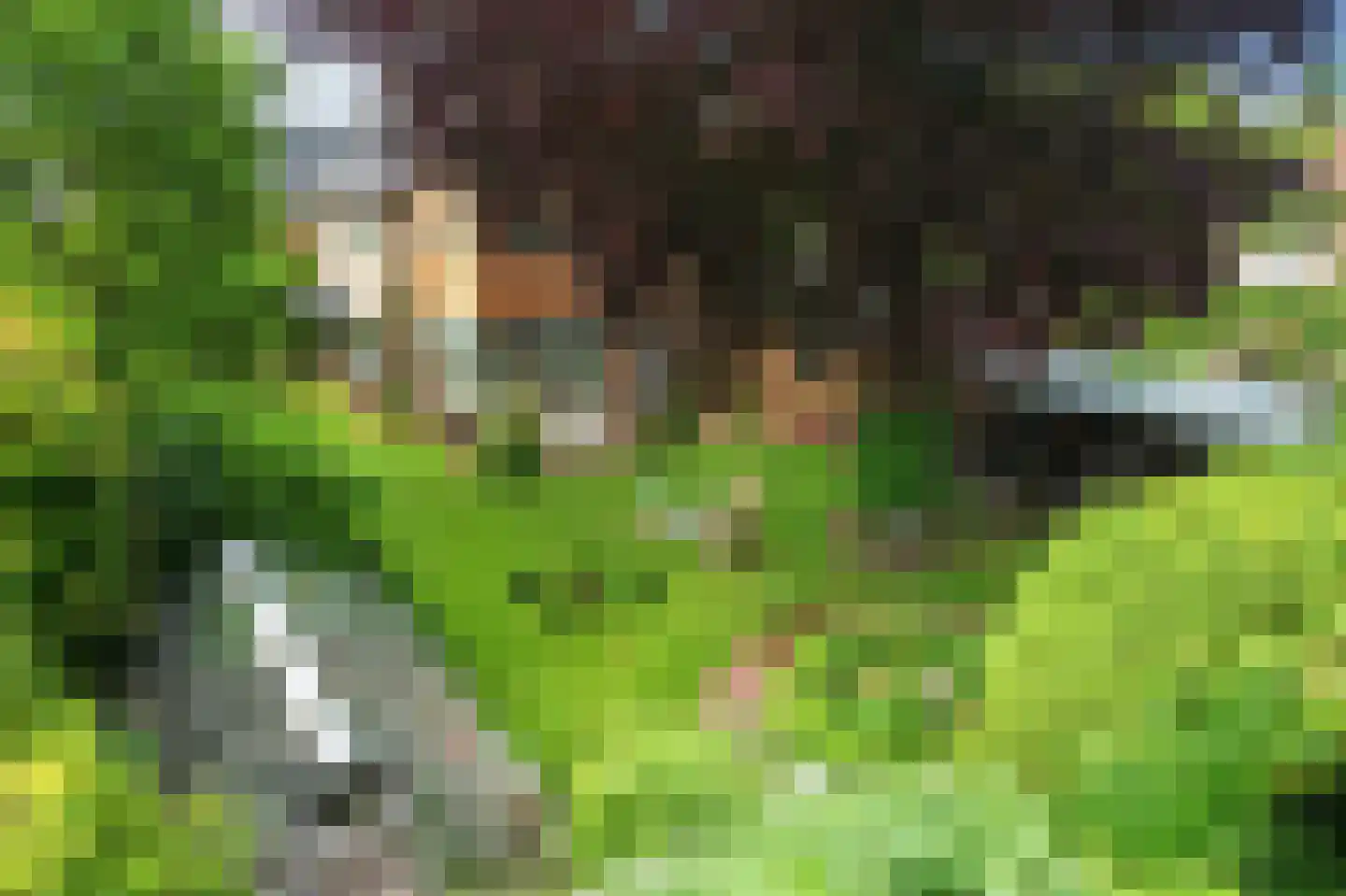 Lindenlaan 14 Sneek thumbnail 43
