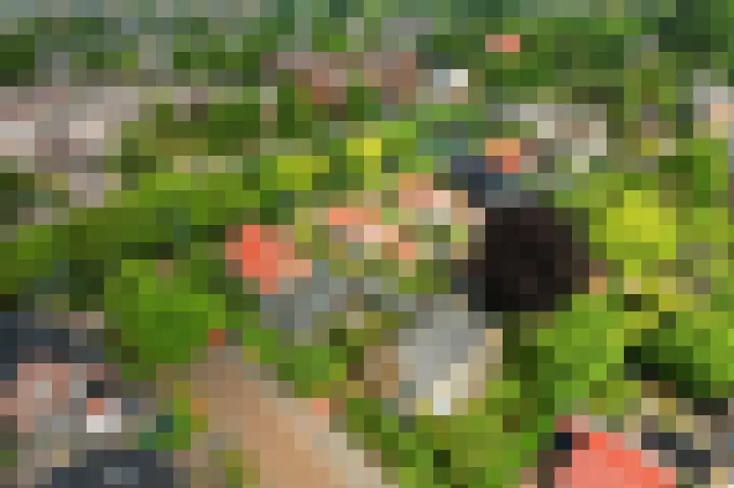 Lindenlaan 14 Sneek thumbnail 44