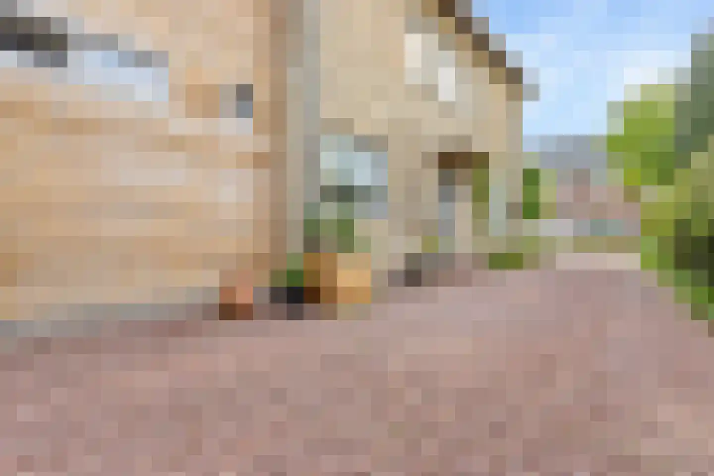Lindenlaan 14 Sneek thumbnail 7