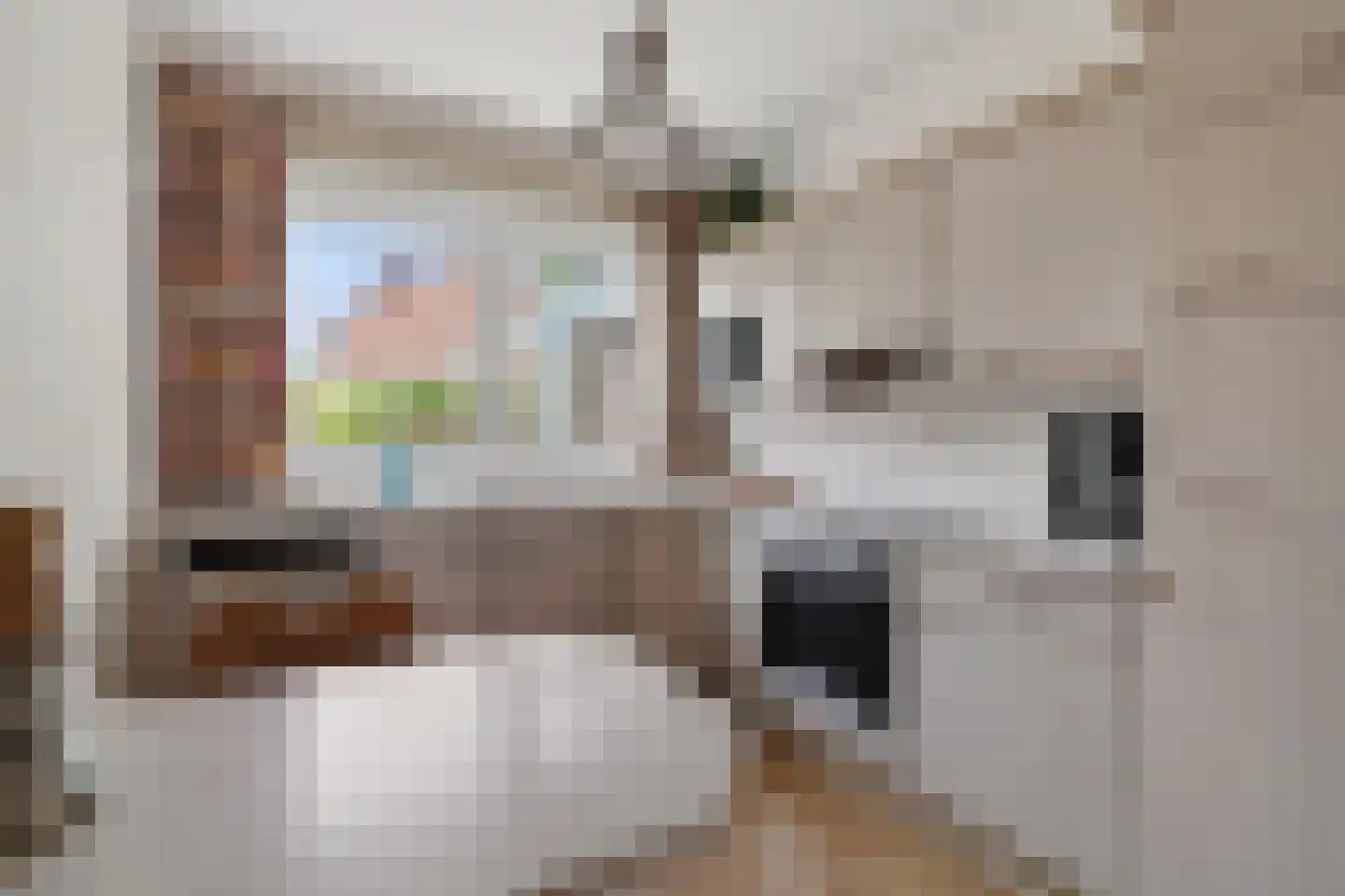 Lindenlaan 15 Lisse thumbnail 14