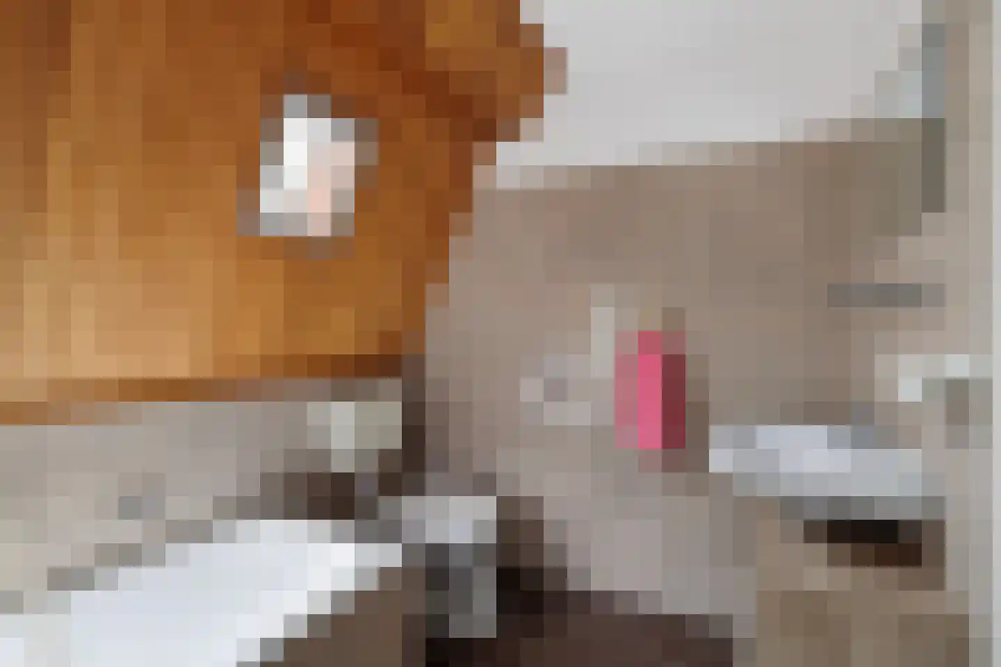 Lindenlaan 15 Lisse thumbnail 30