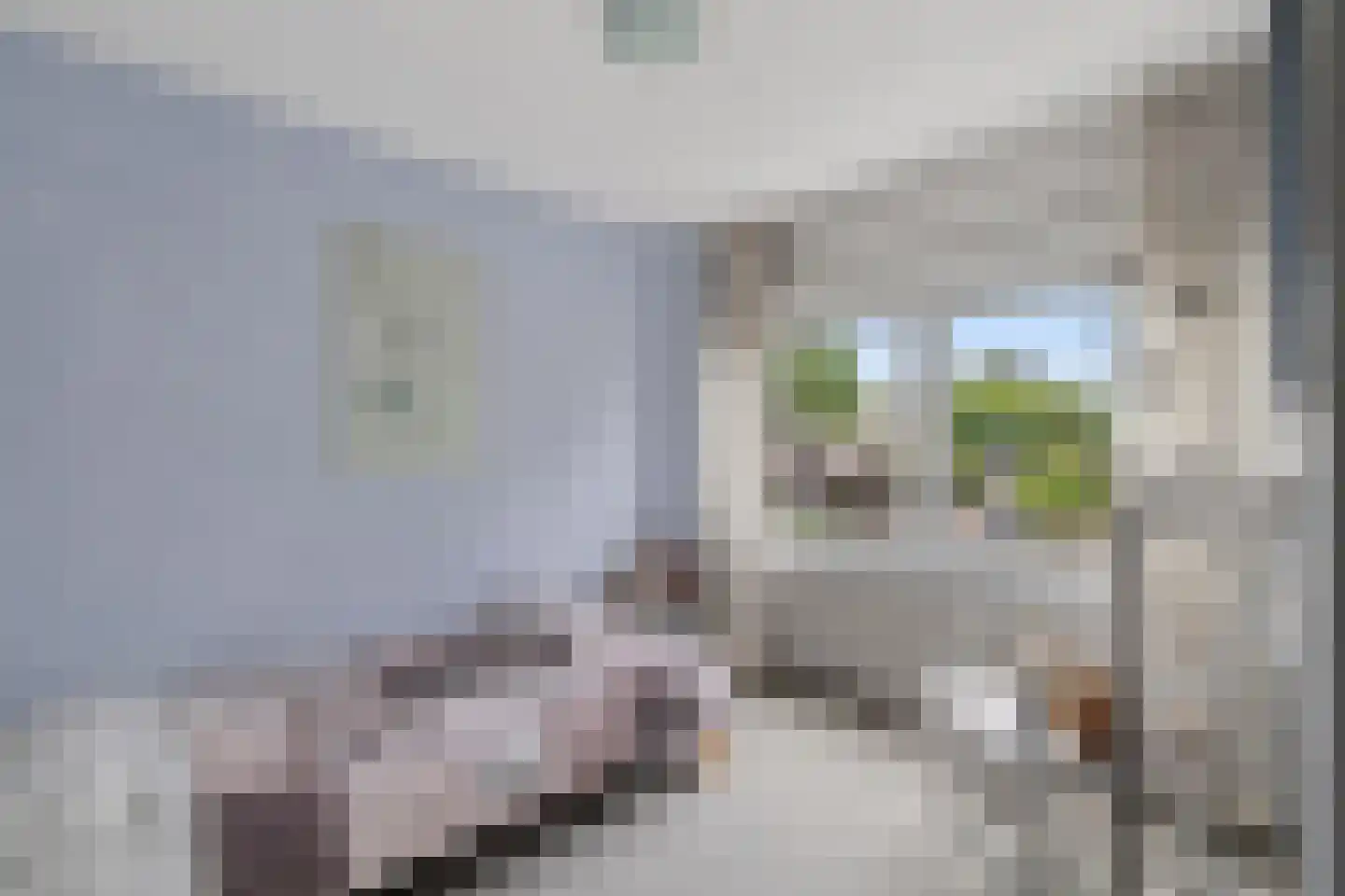 Lindenlaan 15 Lisse thumbnail 34