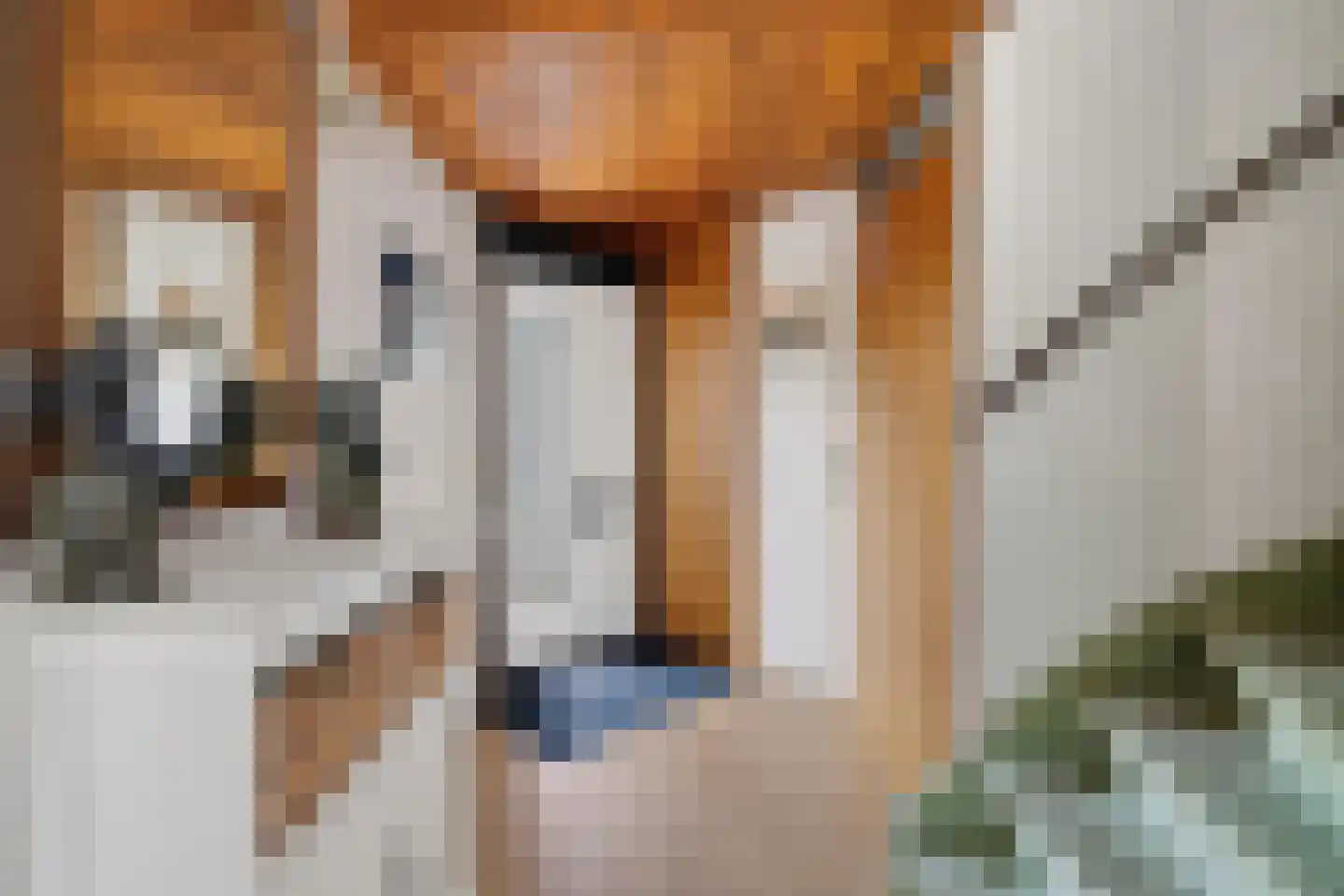 Lindenlaan 15 Lisse thumbnail 4