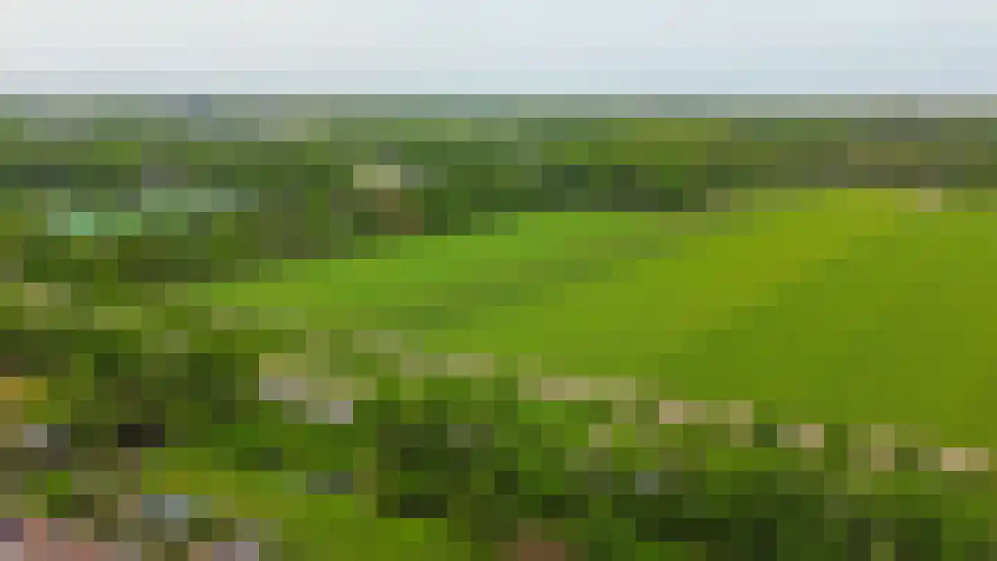 Lindenlaan 15 Lisse thumbnail 42