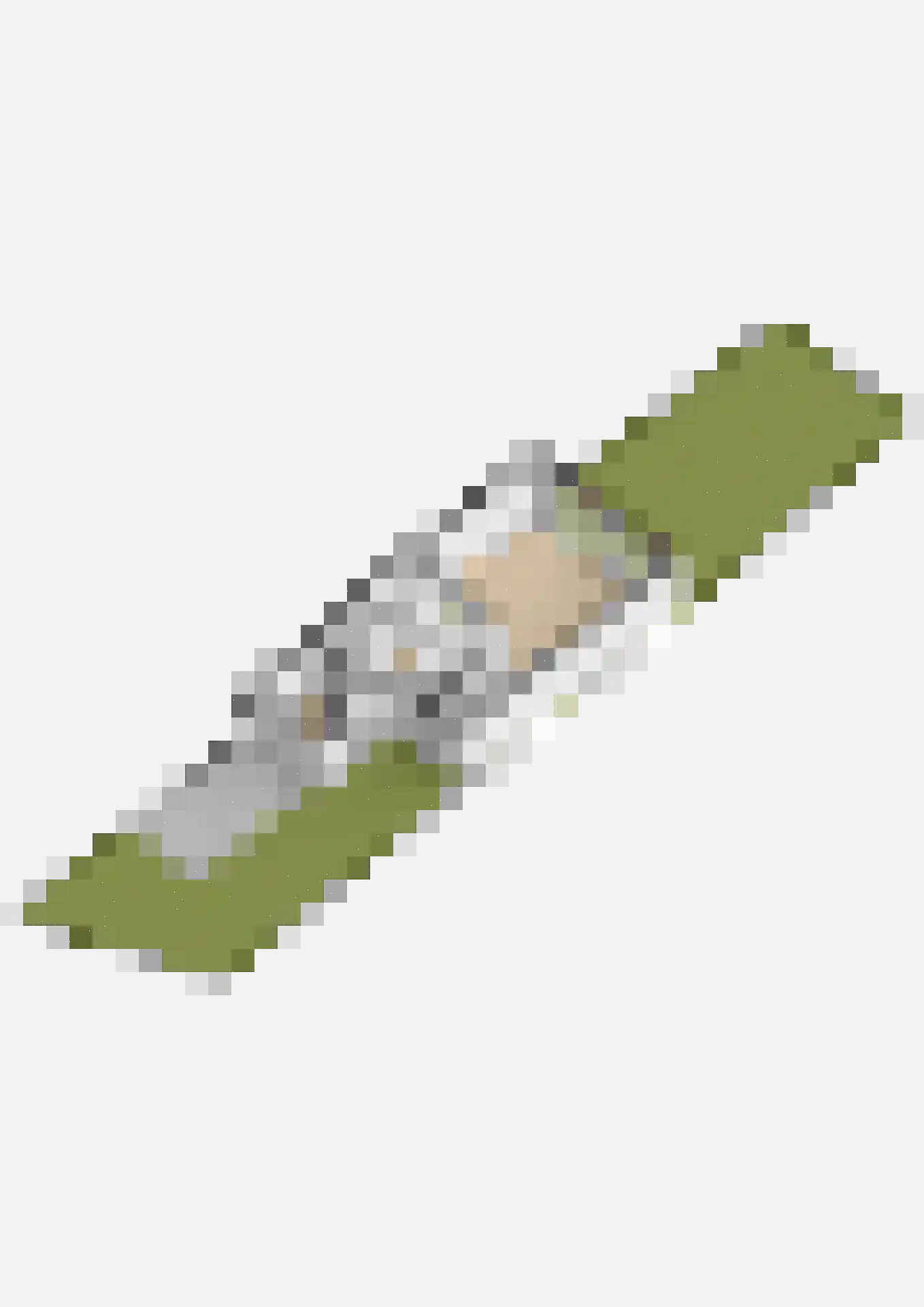 Lindenlaan 15 Lisse thumbnail 51