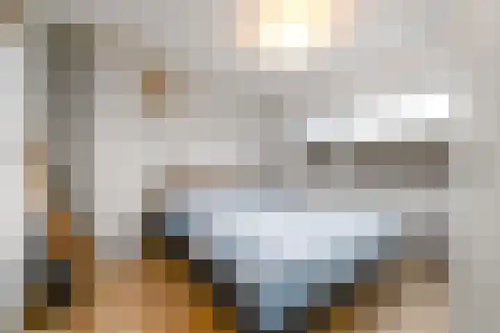 Lindenlaan 15 Wolvega thumbnail 17