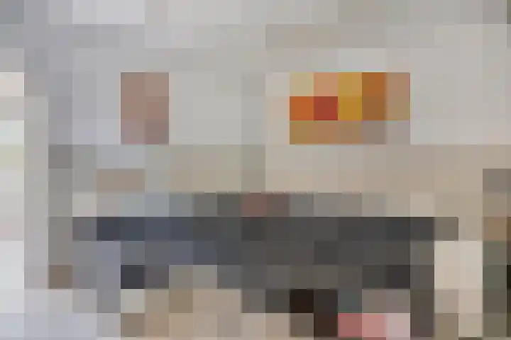 Lindenlaan 16 Geleen thumbnail 10