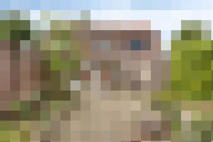 Lindenlaan 16 Geleen thumbnail 14