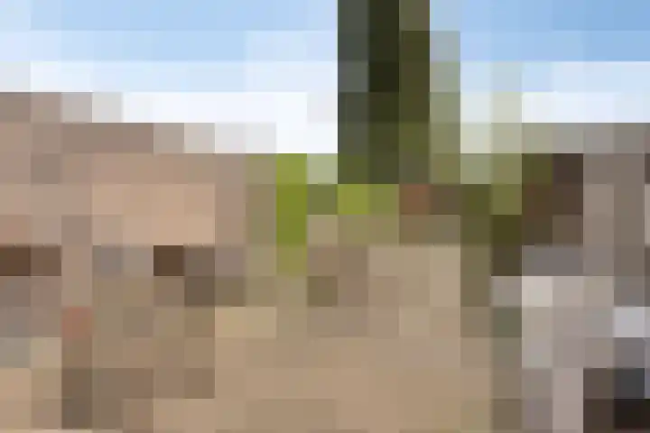 Lindenlaan 16 Geleen thumbnail 16