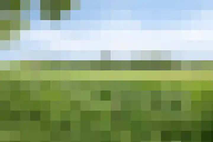 Lindenlaan 16 Geleen thumbnail 21
