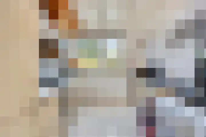 Lindenlaan 16 Geleen thumbnail 4