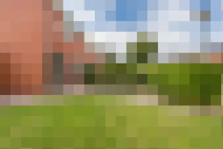 Lindenlaan 16 Kolham thumbnail 17