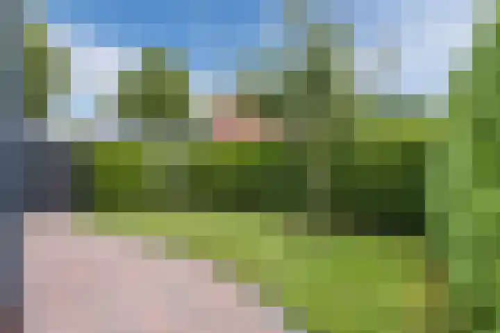 Lindenlaan 16 Kolham thumbnail 60