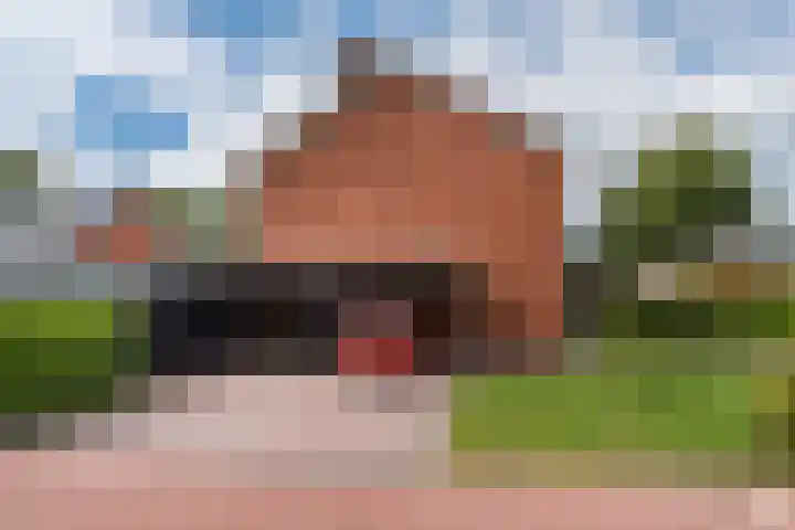 Lindenlaan 16 Kolham thumbnail 82