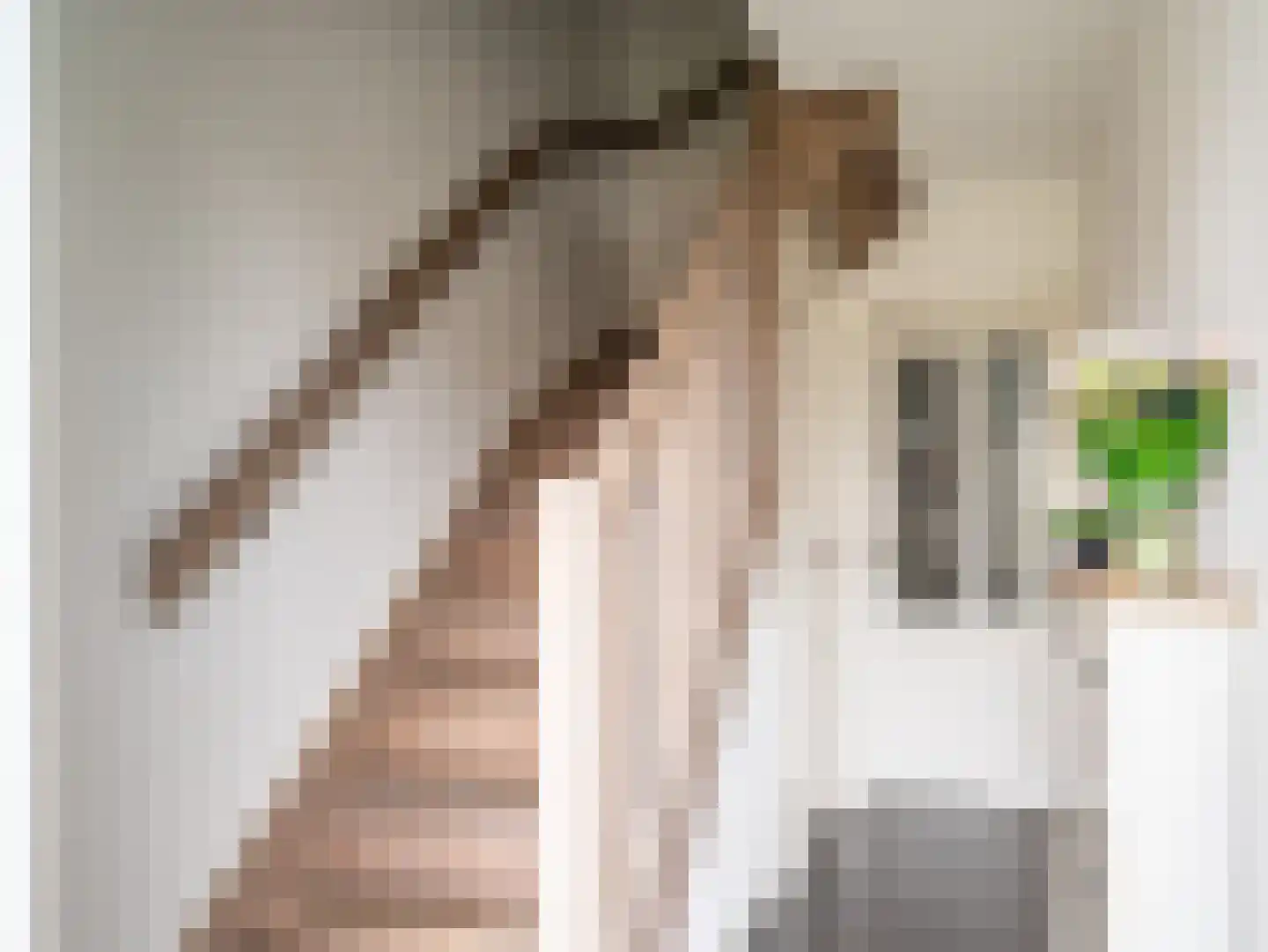 Lindenlaan 16 Staphorst thumbnail 7