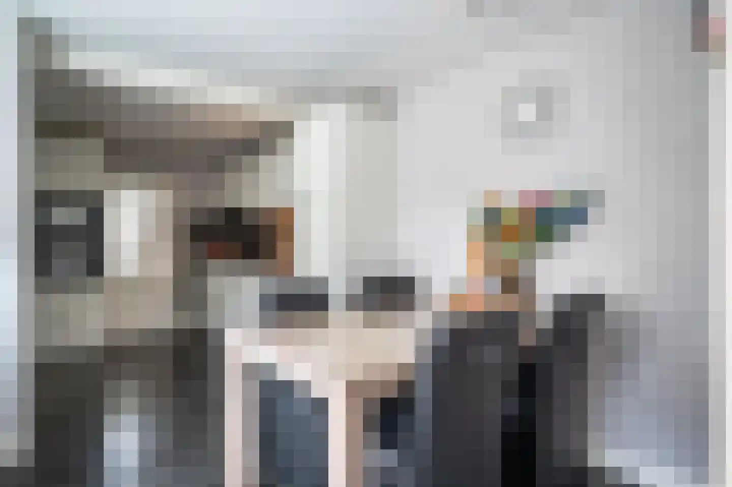 Lindenlaan 16 Staphorst thumbnail 8