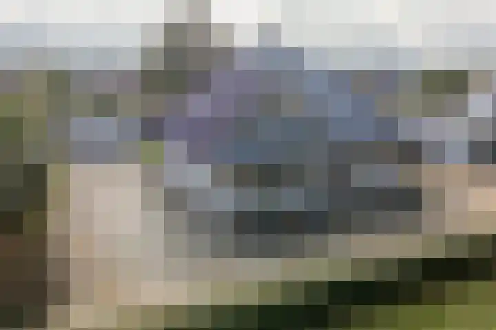 Lindenlaan 17 in Emmer-Compascuum