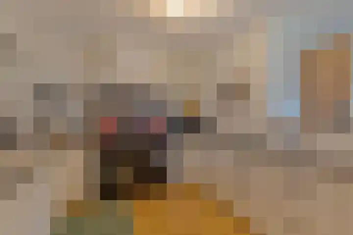 Lindenlaan 17 Emmer-Compascuum thumbnail 10
