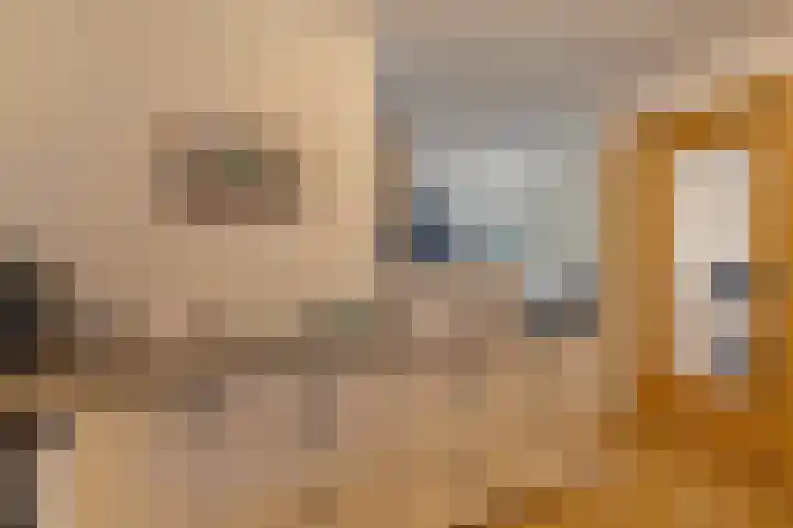 Lindenlaan 17 Emmer-Compascuum thumbnail 11