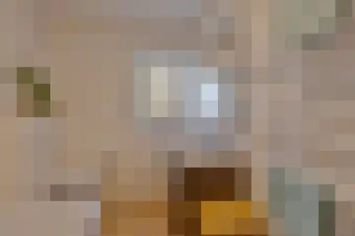 Lindenlaan 17 Emmer-Compascuum thumbnail 16