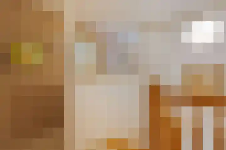 Lindenlaan 17 Emmer-Compascuum thumbnail 17