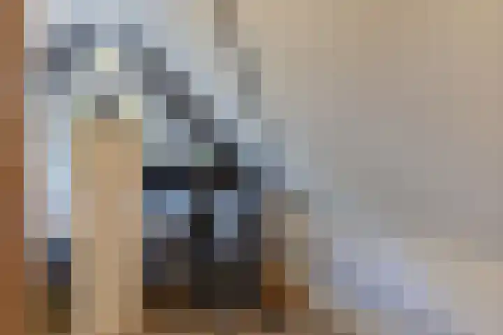 Lindenlaan 17 Emmer-Compascuum thumbnail 18