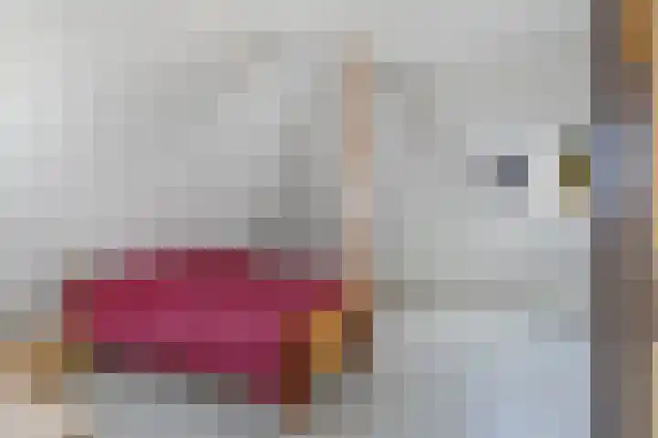 Lindenlaan 17 Emmer-Compascuum thumbnail 20