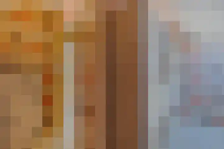 Lindenlaan 17 Emmer-Compascuum thumbnail 23