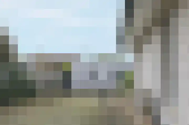 Lindenlaan 17 Emmer-Compascuum thumbnail 24