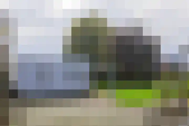 Lindenlaan 17 Emmer-Compascuum thumbnail 26