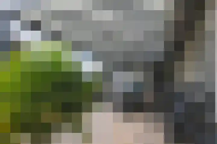 Lindenlaan 17 Emmer-Compascuum thumbnail 27