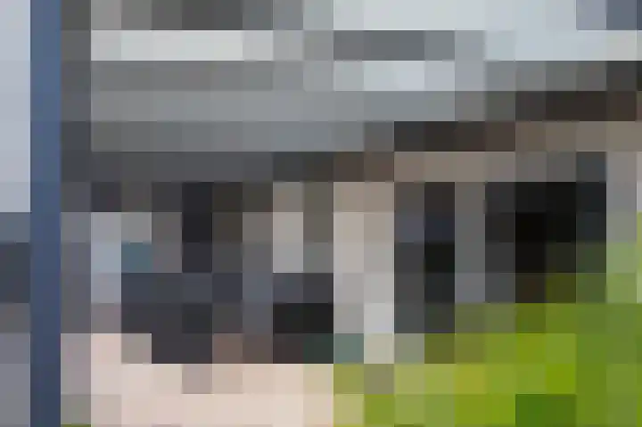 Lindenlaan 17 Emmer-Compascuum thumbnail 28