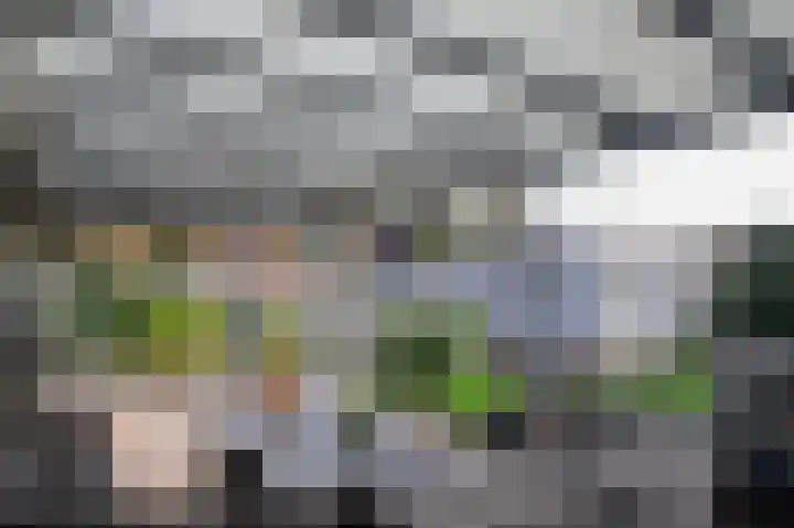Lindenlaan 17 Emmer-Compascuum thumbnail 31