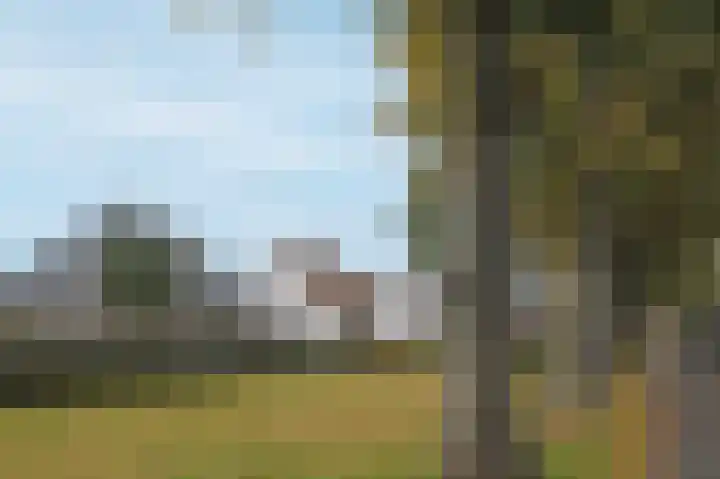 Lindenlaan 17 Emmer-Compascuum thumbnail 43