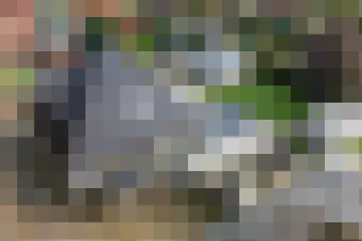 Lindenlaan 17 Emmer-Compascuum thumbnail 45