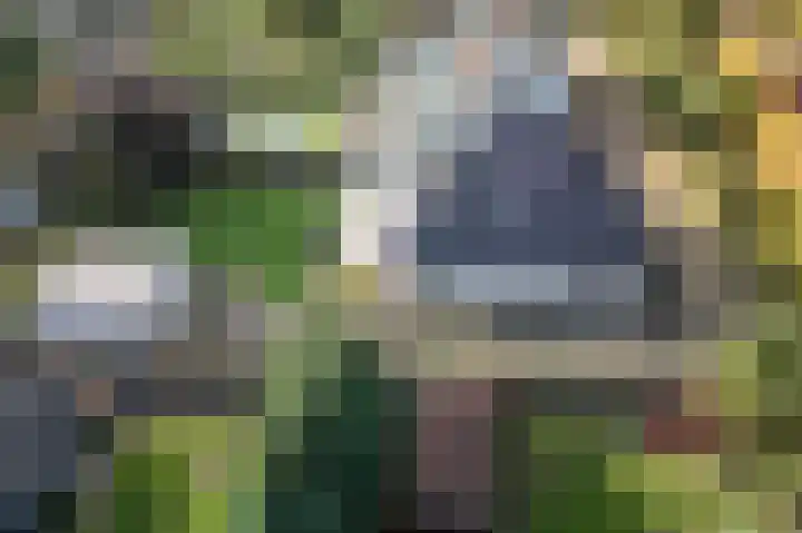 Lindenlaan 17 Emmer-Compascuum thumbnail 47