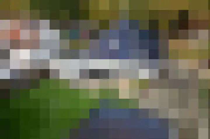 Lindenlaan 17 Emmer-Compascuum thumbnail 49